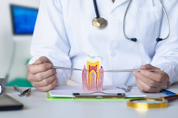 Best Pediatric Emergency Dentist in Whitewright, TX